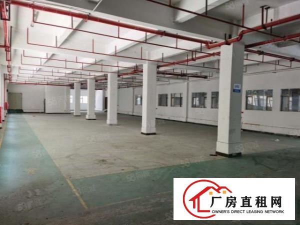  企石镇原房东独门独院厂房5000平米招租，工业用地，可办环评