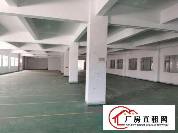  企石镇原房东独门独院厂房5000平米招租，工业用地，可办环评