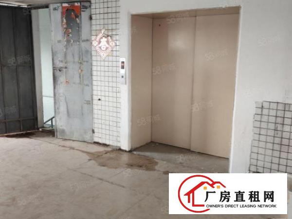  哇！哇！哇！只要8块钱，还带办公室装修，楼上整层1600平米