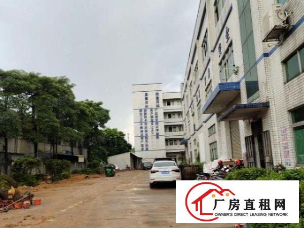  哇！哇！哇！只要8块钱，还带办公室装修，楼上整层1600平米