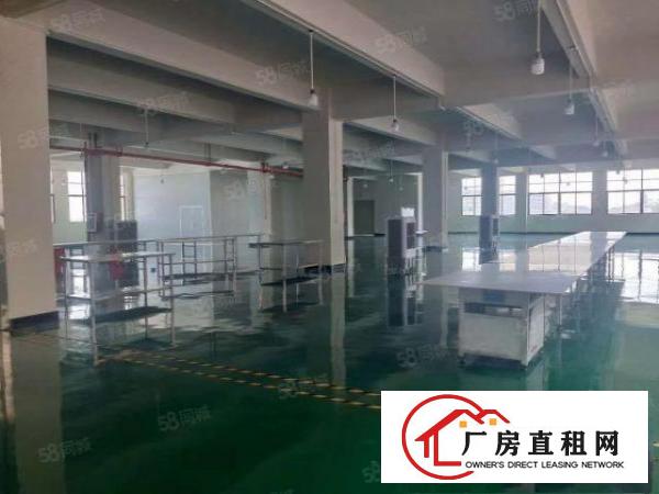  新出无尘车间带豪华装修2000平方，现成水电办公室无需转让费