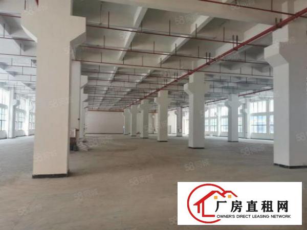  企石镇带工艺品，喷油，喷粉丝印注塑环评厂房1000平米起租