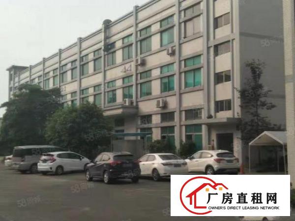  企石镇原房东标准独院厂房3600平方出租，现成水电办公室装修