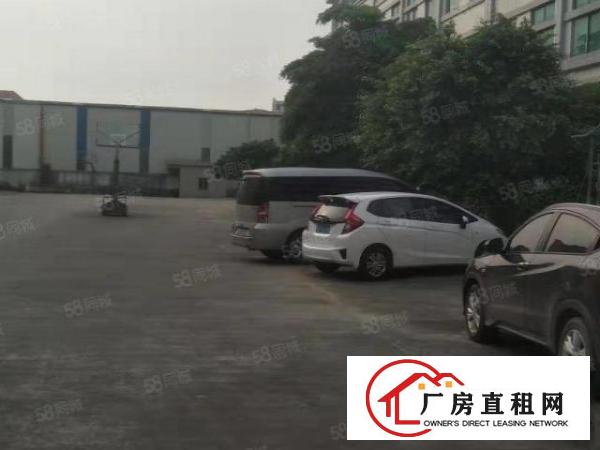  企石镇原房东标准独院厂房3600平方出租，现成水电办公室装修