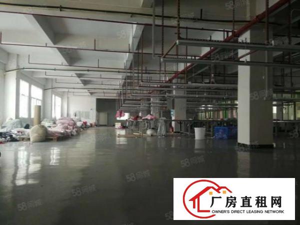  企石镇原房东标准独院厂房3600平方出租，现成水电办公室装修