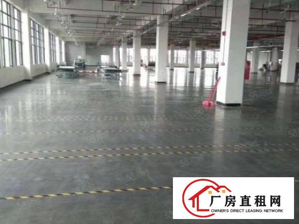  企石镇原房东标准独院厂房3600平方出租，现成水电办公室装修