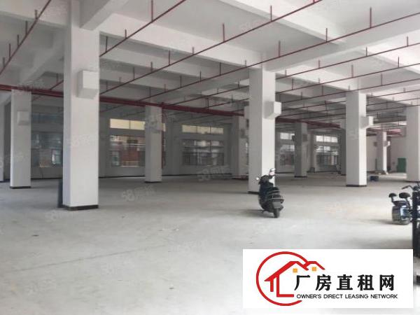  东莞企石铁炉坑工业区厂房仓库出租2000平方一层大小分租