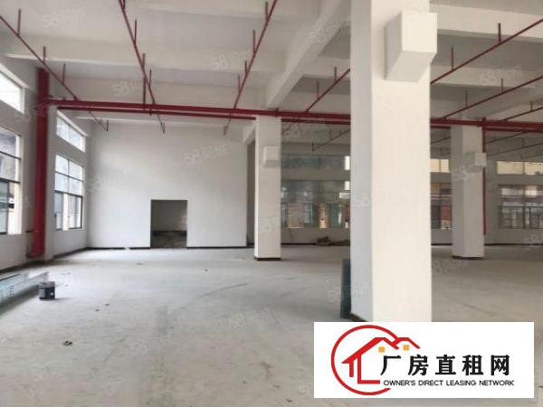 东莞企石铁炉坑工业区厂房仓库出租2000平方一层大小分租