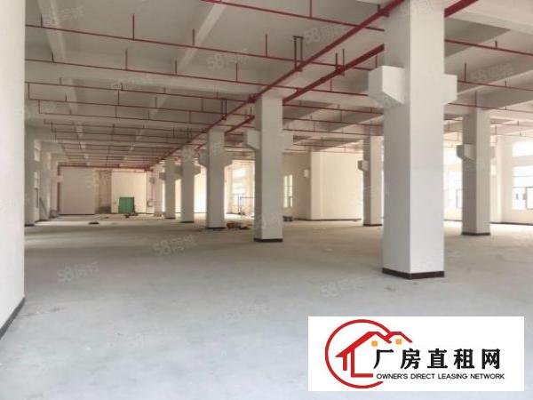  东莞企石铁炉坑工业区厂房仓库出租2000平方一层大小分租