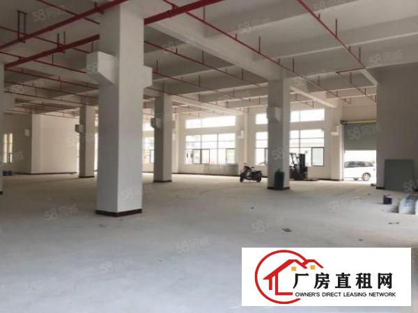  东莞企石铁炉坑工业区厂房仓库出租2000平方一层大小分租