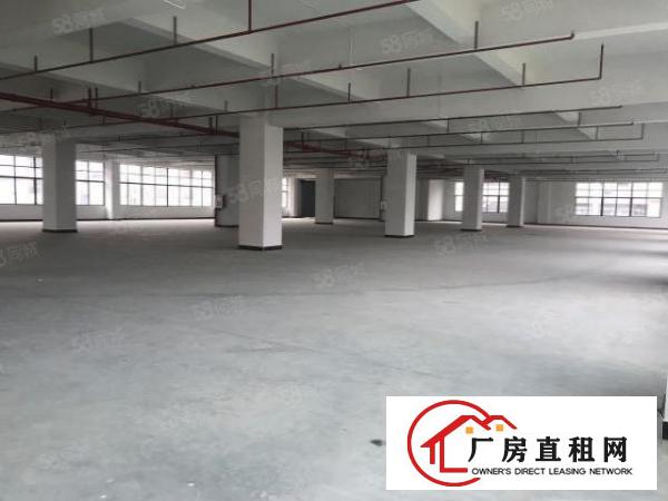  东莞企石铁炉坑工业区厂房仓库出租2000平方一层大小分租