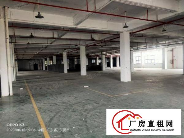  原房东自用厂房招租现成水电照明