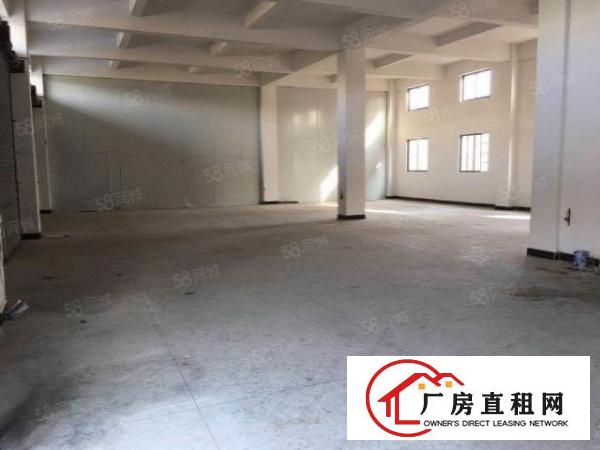  东莞企石独栋原房东民房出租一楼300平方出租