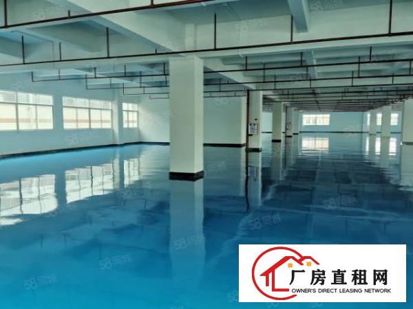  企石科技园全新厂房2楼2300平米带全新地坪漆低价出租