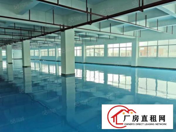  企石科技园全新厂房2楼2300平米带全新地坪漆低价出租