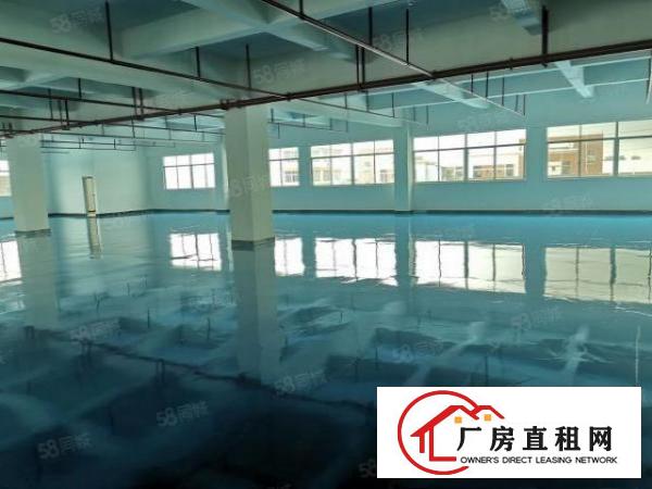  企石科技园全新厂房2楼2300平米带全新地坪漆低价出租