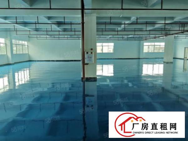  企石科技园全新厂房2楼2300平米带全新地坪漆低价出租