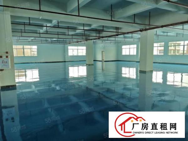  企石科技园全新厂房2楼2300平米带全新地坪漆低价出租