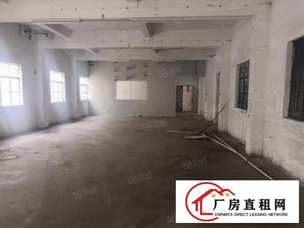  企石镇新出原房东标准厂房一楼300平方，带有现成精装办公室