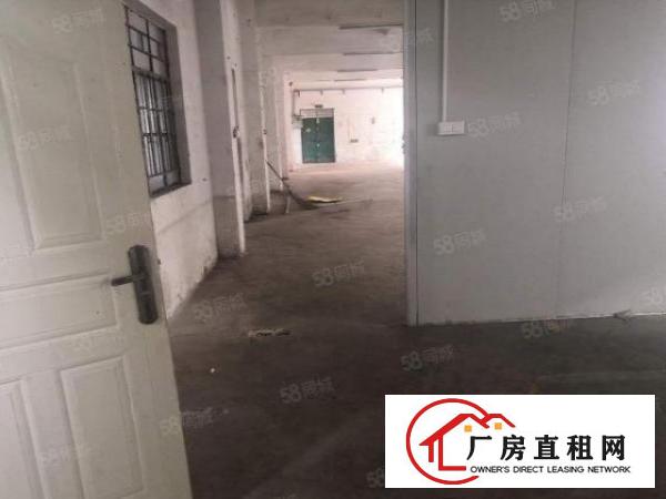  企石镇新出原房东标准厂房一楼300平方，带有现成精装办公室