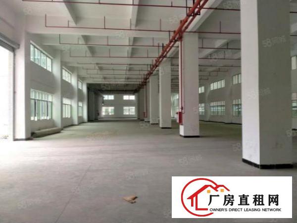  原房东独院红本厂房15000平方出租可分租可办环评，全新厂房