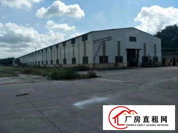  企石镇新出原房东单一层钢构厂房1600平方，现成行车