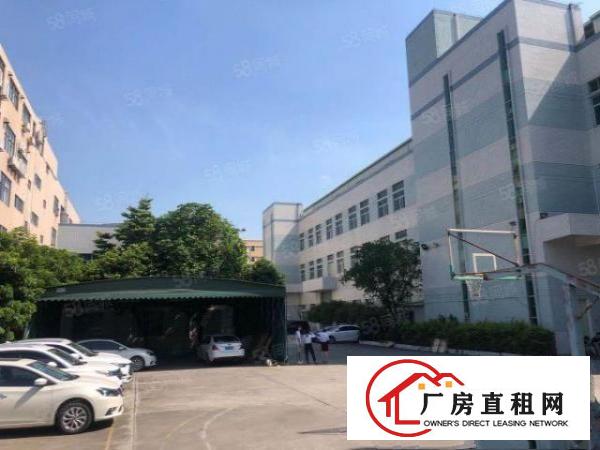  企石新出楼上700平方.带现成办公室，水电齐全，有宿舍
