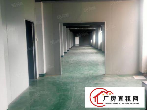  企石镇莫屋工业区一栋三层独栋厂房招租现成水电招租价格便宜