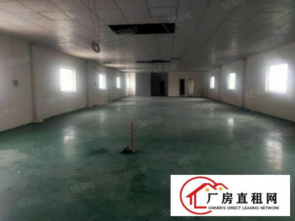  企石镇莫屋工业区一栋三层独栋厂房招租现成水电招租价格便宜