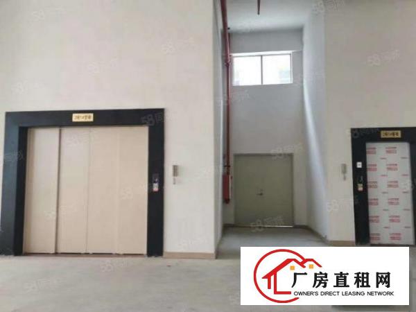  企石原房东红本全新厂房出租可办环评大小分租，位置好工业用地