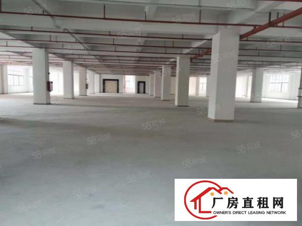  企石原房东红本全新厂房出租可办环评大小分租，位置好工业用地