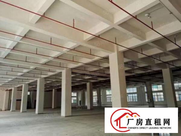  企石原房东红本全新厂房出租可办环评大小分租，位置好工业用地