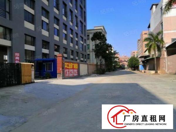  企石原房东红本全新厂房出租可办环评大小分租，位置好工业用地