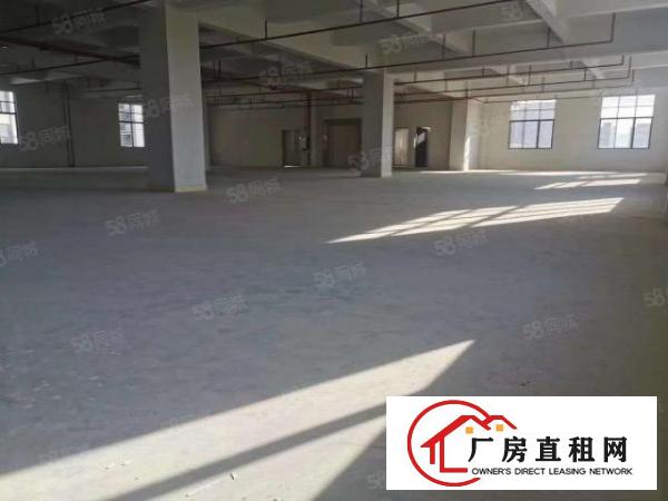  企石原房东红本全新厂房出租可办环评大小分租，位置好工业用地