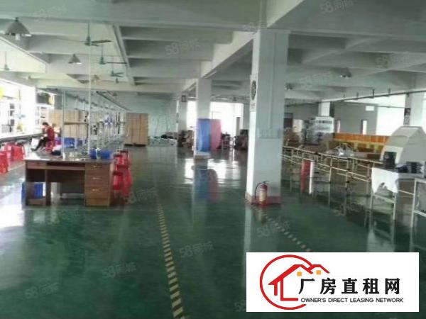  企石镇新出原房东独院标准厂房4800平方形象好