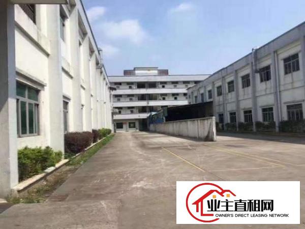  横沥镇原房东独院厂房2层3800平出租可分租