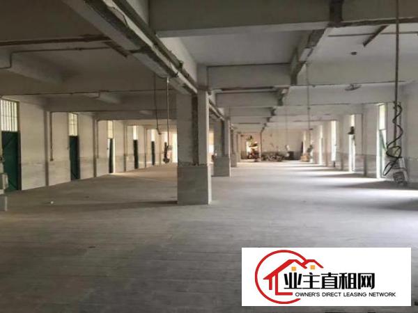  横沥贝涌厂房招租~~~