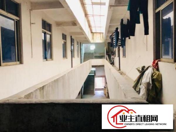  大公路边厂房独栋出租带办公楼证件齐全
