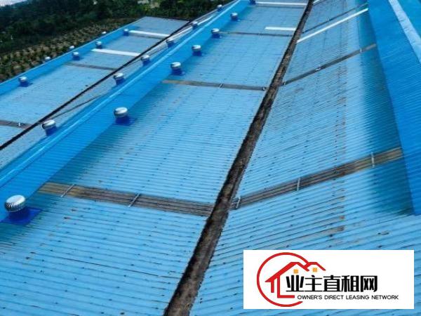  大公路边厂房独栋出租带办公楼证件齐全