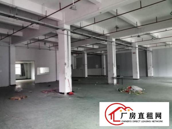  横沥镇山厦工业区新出独院工业厂房两层2000平方招租