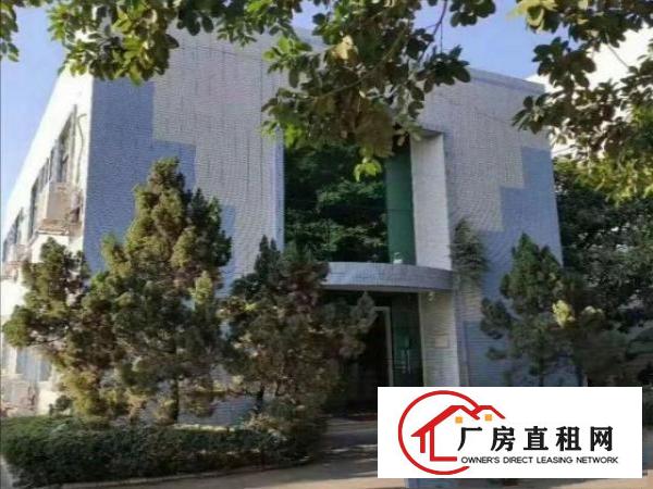 原房东带地坪漆可办环评带喷淋红本标准厂房
