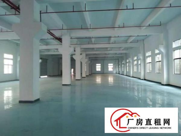  原房东带地坪漆可办环评带喷淋红本标准厂房