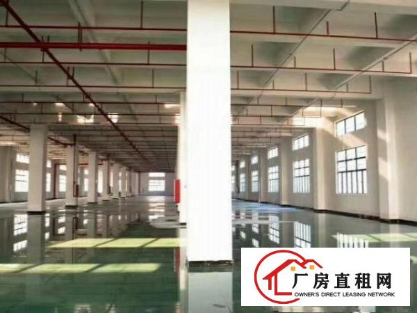  原房东带地坪漆可办环评带喷淋红本标准厂房
