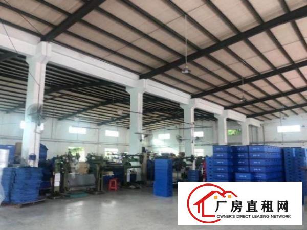  原房东独门独院钢构砖墙到顶厂房办公室精装修红本厂房