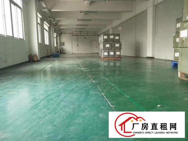  横沥城区900平方厂房出租，独立办公区，面积大，价格便宜