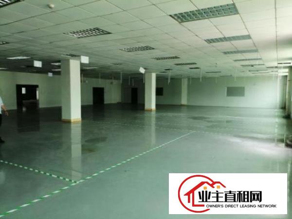 横沥三江工业园新出花园式独院工业厂房4500平招租