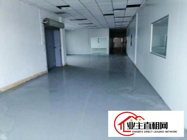  横沥三江工业园新出花园式独院工业厂房4500平招租