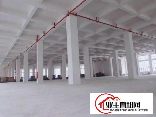  横沥三江工业园新出花园式独院工业厂房4500平招租