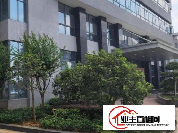  横沥镇适合上市公司或高新产业园个人厂房招租