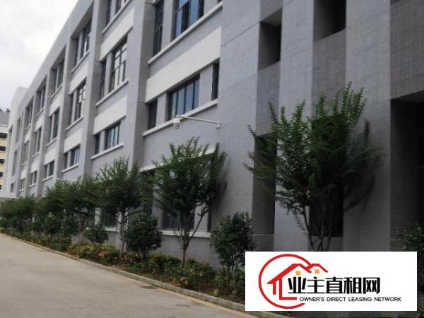  横沥镇适合上市公司或高新产业园个人厂房招租